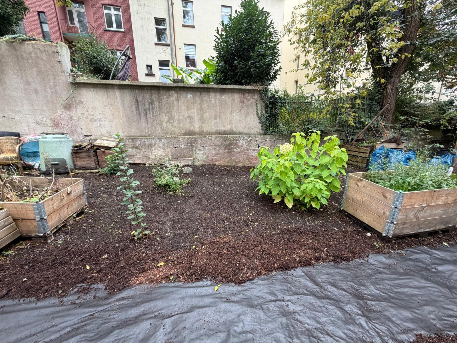Gartenfläche – Unkrautentfernung – nachher