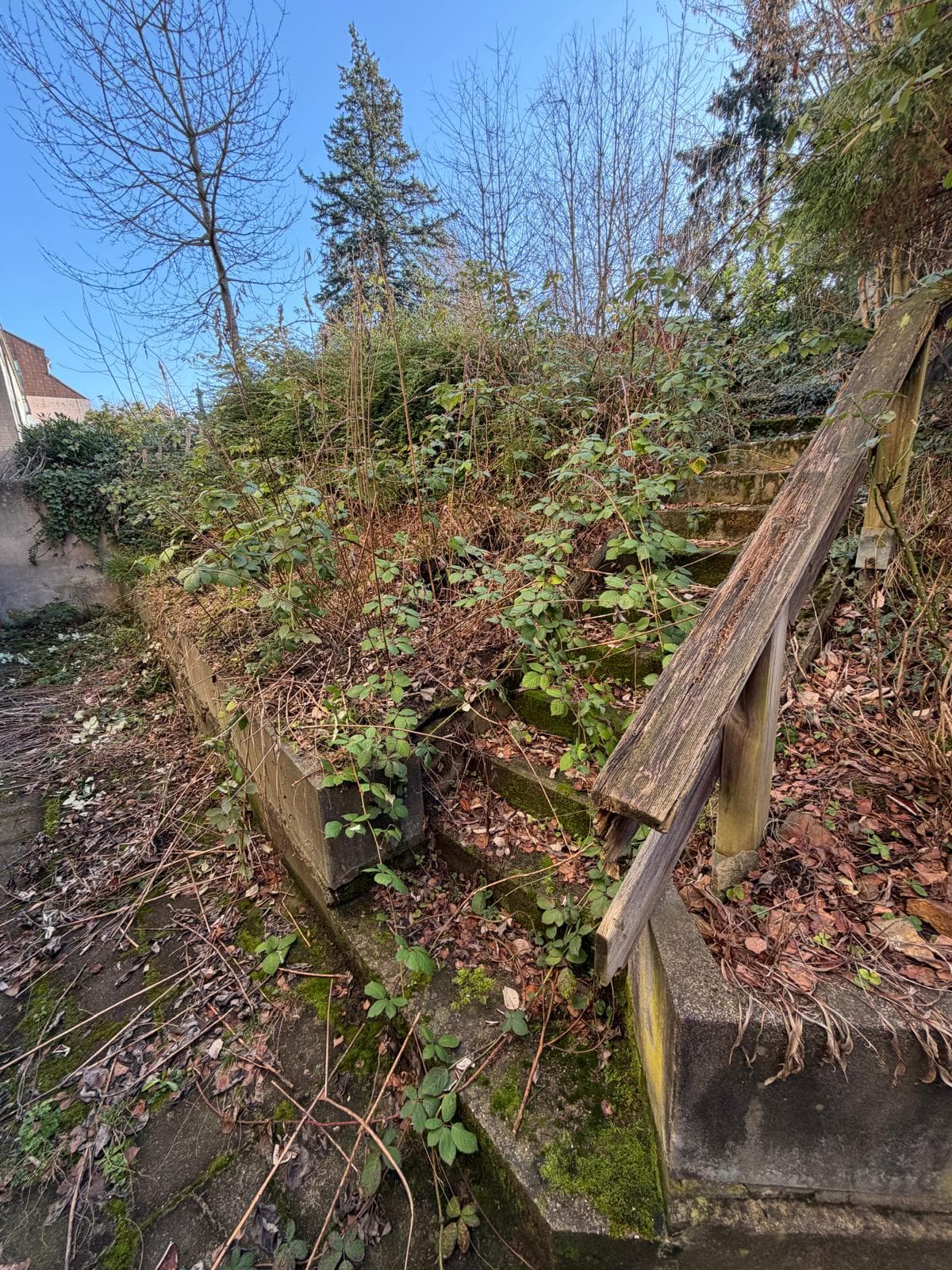 Außentreppe & Hangfläche – Gartenpflege – vorher