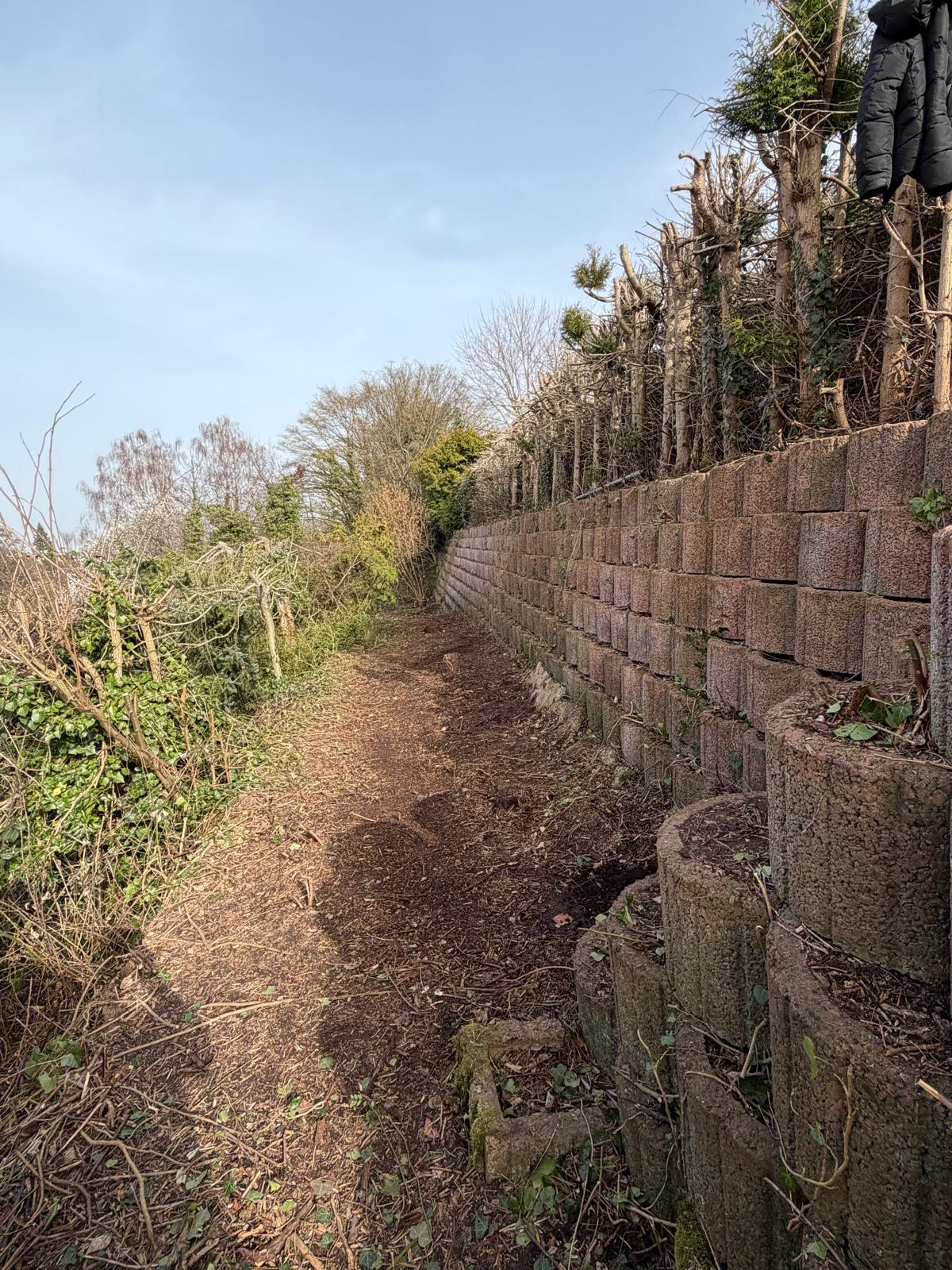 Hangbefestigung – Strauch- und Heckenschnitt – Nachher