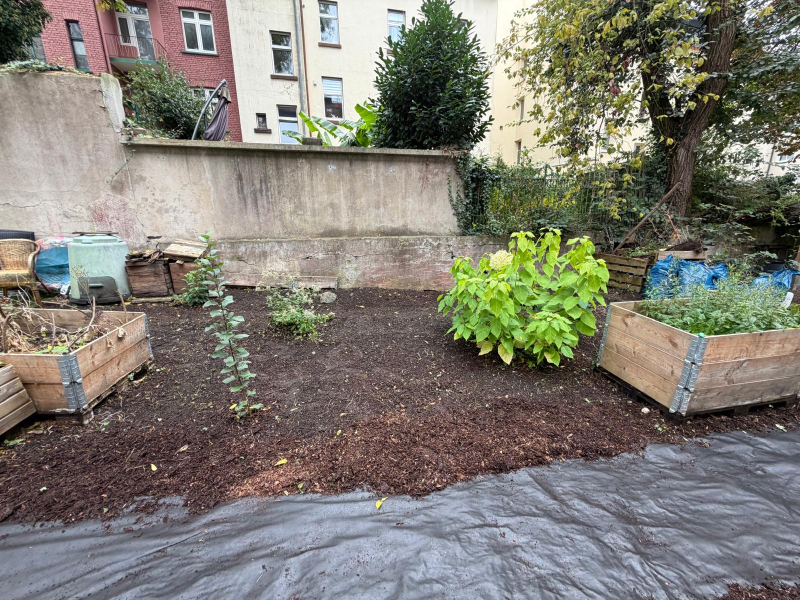 Gartenfläche – Unkrautentfernung – Nachher