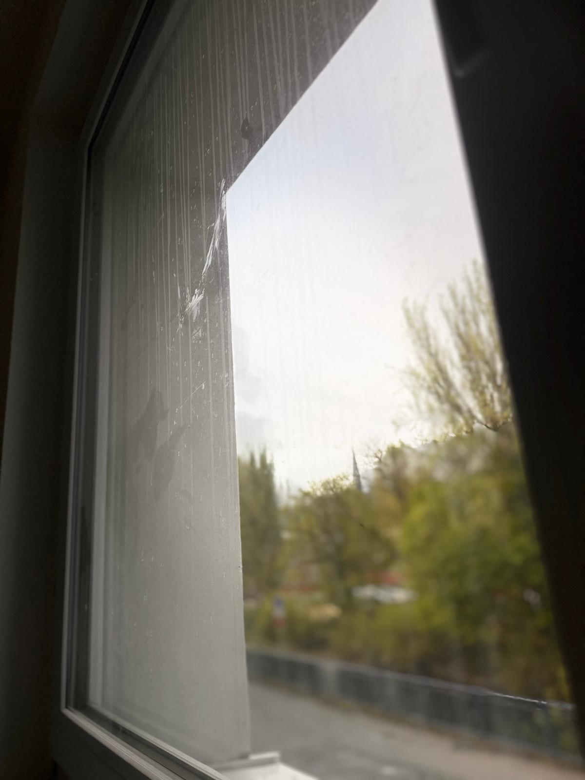 Fensterrahmen – Grundreinigung – Vorher