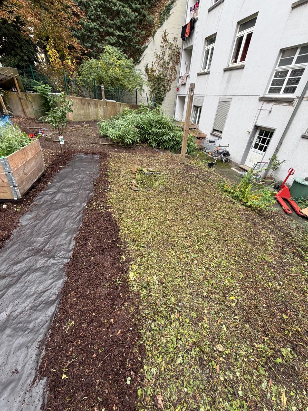 Hinterhofgarten – Wildwuchs entfernt – Nachher
